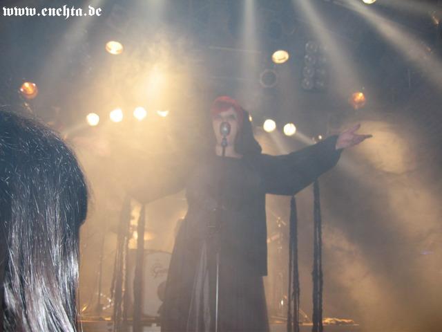 Lame Immotrelle vom 20.02.2008-020.jpg